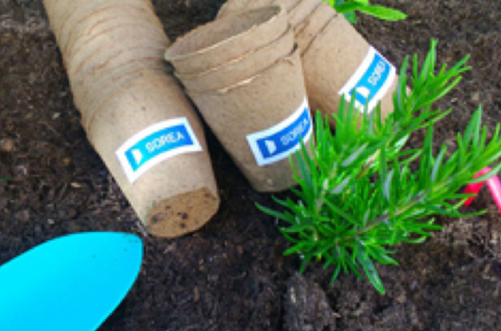 Ir a la noticia Feria del Día de la Tierra en Rubí