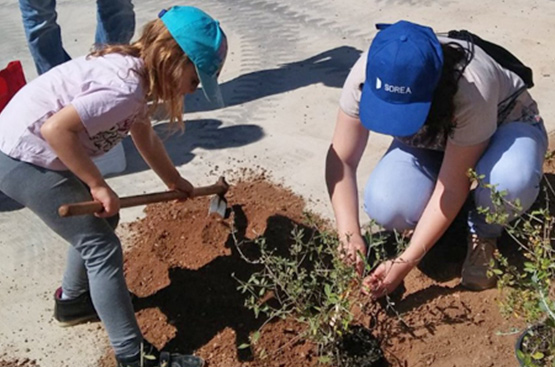 Ir a la noticia Colaboramos en la creación de una zona verde en Roquetes