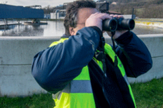 Ir a la noticia BiObserva, el programa ambiental de voluntariado que promueve el desarrollo sostenible